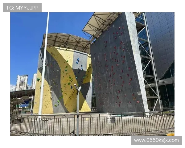 杭州攀岩队状态分析:聚焦攀岩运动的现状与未来发展 杭州攀岩队状态分析:聚焦攀岩运动的现状与未来发展