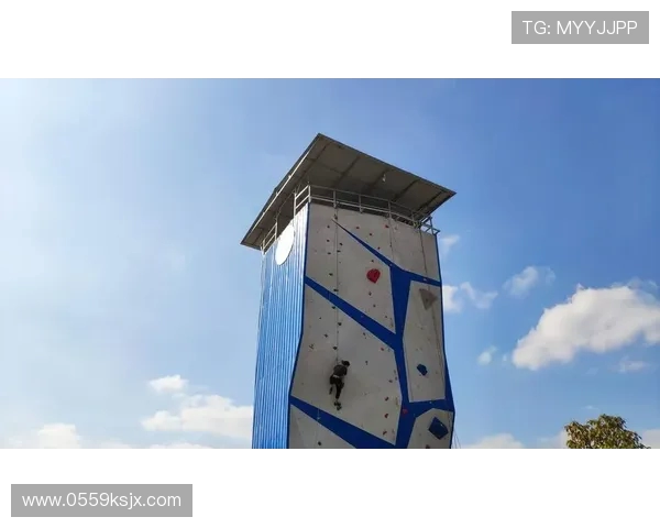 武汉攀岩队的节奏分析与反思探讨攀岩运动的得与失 武汉攀岩队的节奏分析与反思探讨攀岩运动的得与失