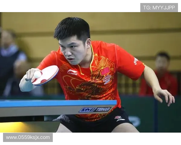 西安乒乓球队的运营模式与发展策略深度解析