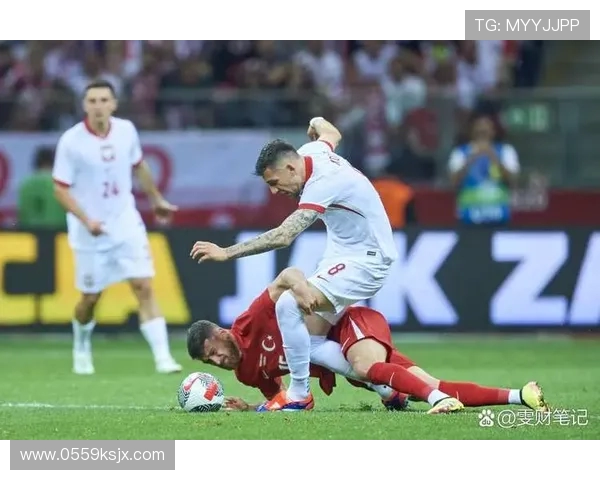 西班牙与比利时激战正酣07年经典对决重温足球激情 西班牙与比利时激战正酣07年经典对决重温足球激情