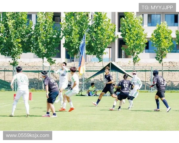 重庆飞盘队的崛起与梦想追逐极限运动会的精彩历程 重庆飞盘队的崛起与梦想追逐极限运动会的精彩历程