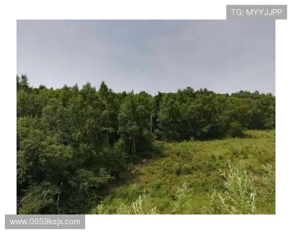 王伟亲授攀岩技巧与心得体会助你轻松征服高峰