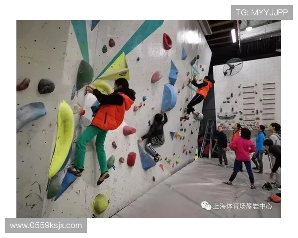 上海攀岩队战术之争引发热议专家观点各异引人关注