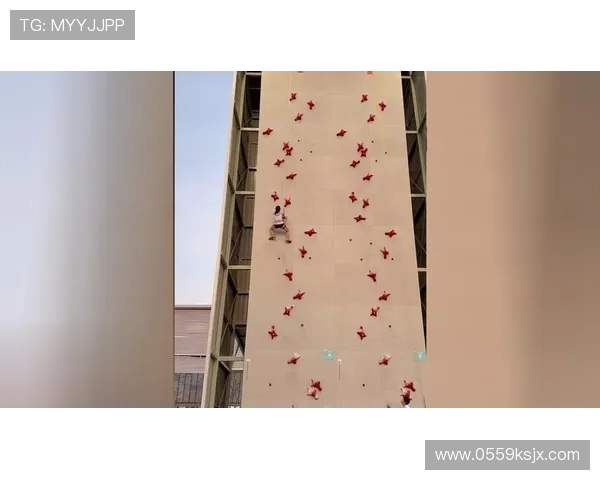 广州攀岩队与武汉攀岩队耐力较量赛后分析与反思