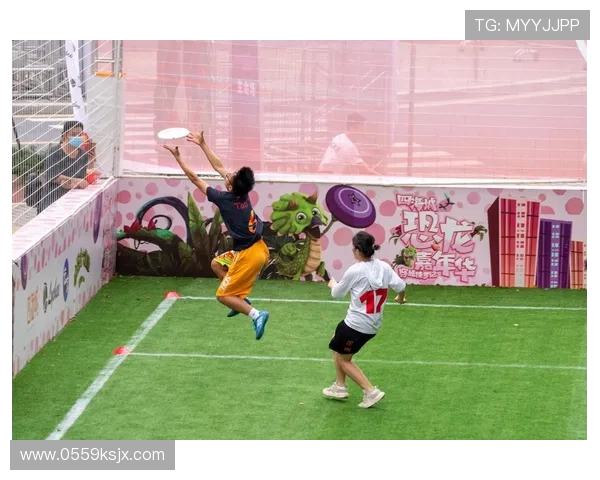 广州飞盘队运营分析：成功经验与面临挑战的全面探讨