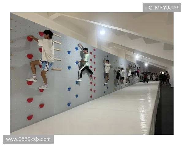 成都攀岩队协作技巧与团队配合的深入分析与探讨